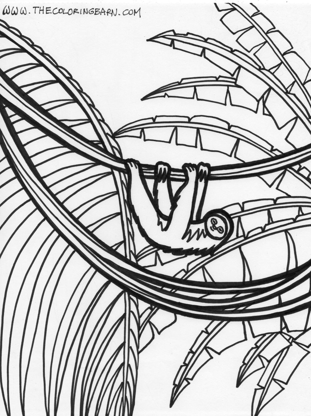 1000x1337 Fresh Tropical Rainforest Drawing With Color Rainforest Free