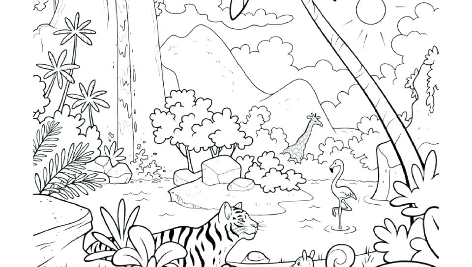 960x544 Tropical Rainforest Coloring Pages Animals Coloring Pages