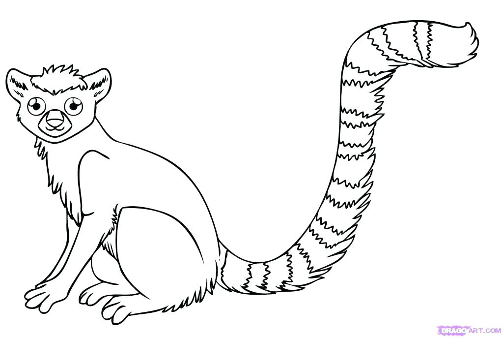 1024x687 Coloring Pages Of Animals In The Rainforest Animal Coloring Pages