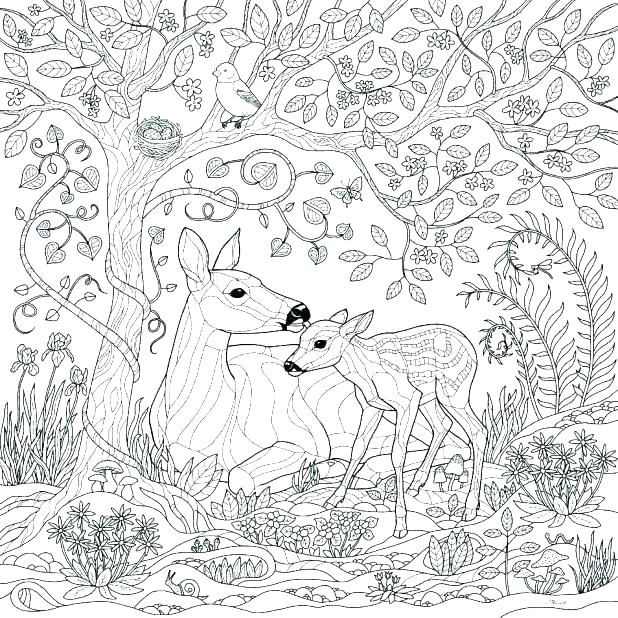 618x618 Rainforest Coloring Pages To Print Coloring Pages Coloring Forest