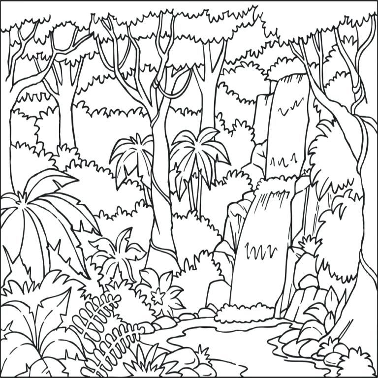768x768 Rainforest Coloring Pages Tropical Coloring Pages Color Jungle