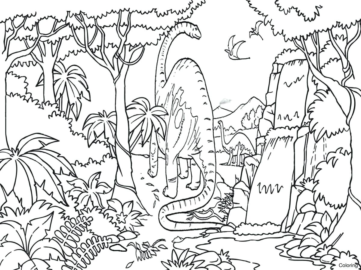 1200x900 Tropical Rainforest Color Pages Perfect Coloring On For Kids