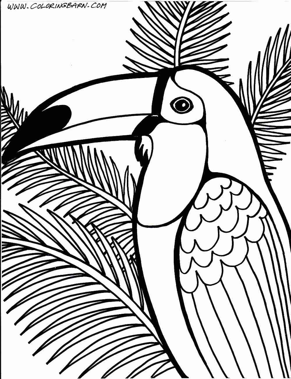 1000x1303 Tropical Rainforest Drawing Coloring Pages To Noticeable Color