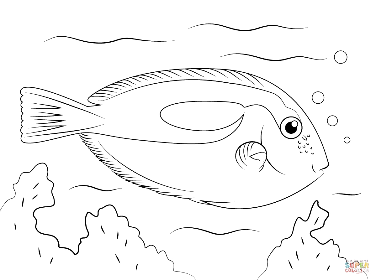 1199x894 New Rainbow Trout Coloring Pages Free Coloring Pages Download