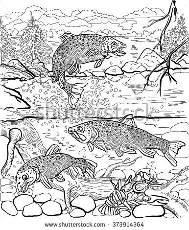 386x470 Underwater Life On The River. Trout And Cancer Swim Under Water