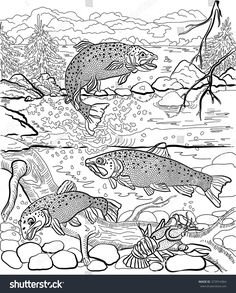 236x293 Brown Trout Coloring Page From Trouts Category. Select From 20946