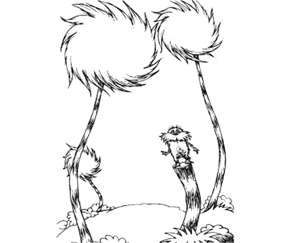 600x501 Beautiful Truffula Tree Guarded By The Lorax Coloring Pages