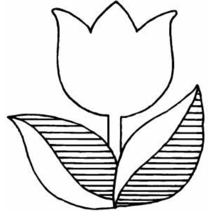 Tulip Flower Coloring Pages