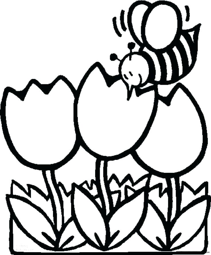 736x890 Tulip Coloring Pages Tulips Template Tulips Flower Coloring Page