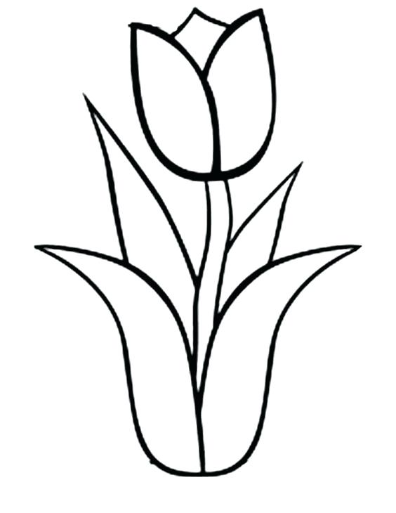 564x730 Tulip Coloring Sheet Tulip Flower Coloring Pages
