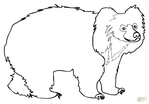 476x333 Sloth Hanging Upside Down Coloring Page Color Sloth Hanging Upside