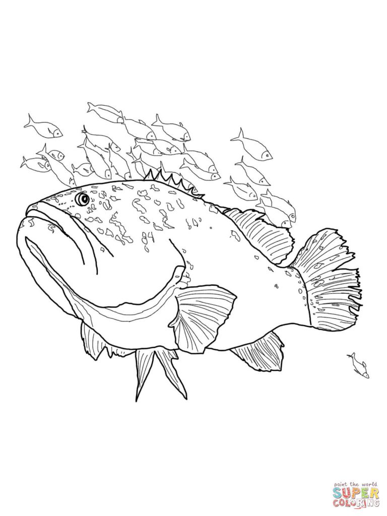 768x1024 Jellyfish Coloring Pages For Kids Blue Spotted Stingray And Fish