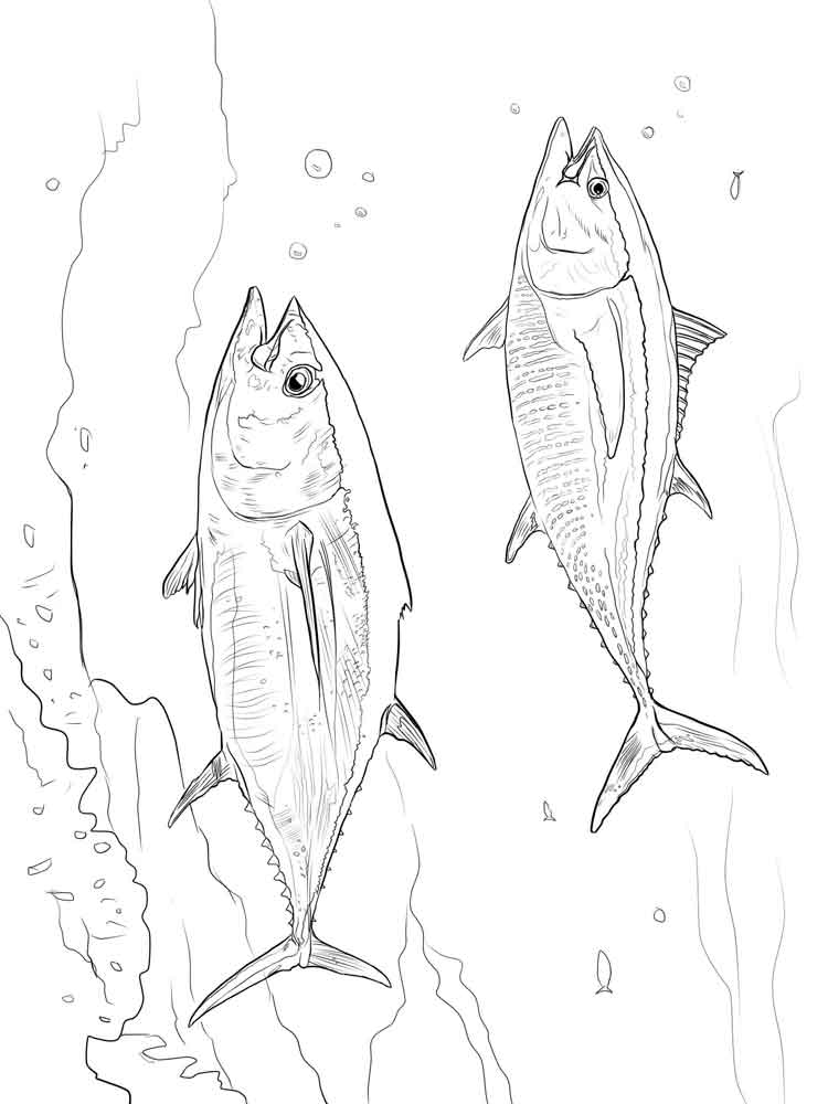 750x1000 Tuna Fish Coloring Pages. Download And Print Tuna Fish Coloring Pages.