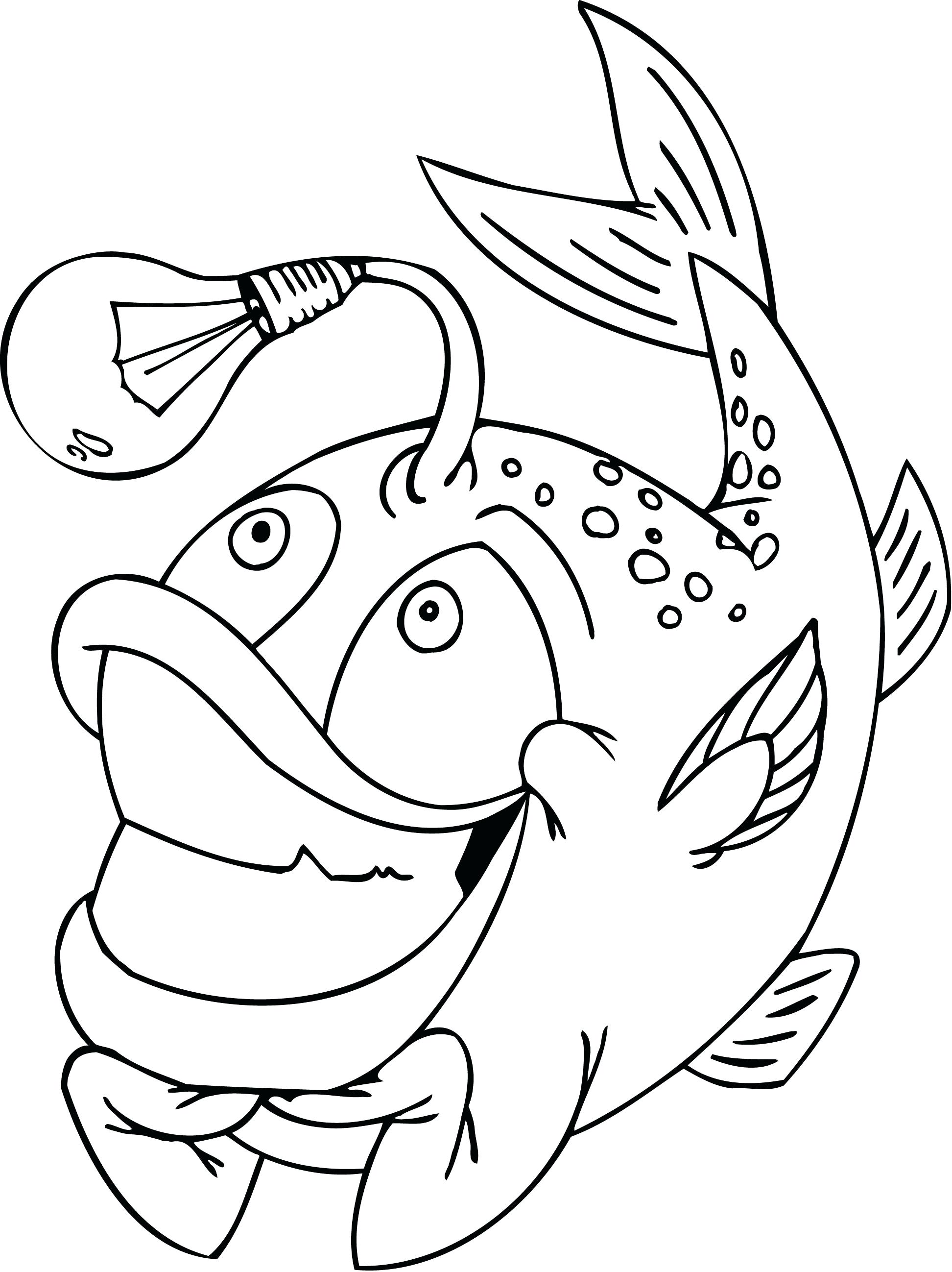1944x2596 Unique Tuna Fish Coloring Page Image Collection