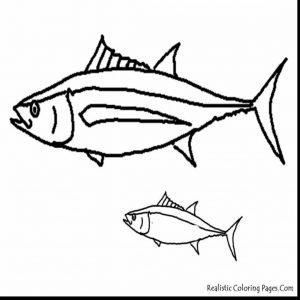 300x300 King Mackerel Coloring Pages New Free Coloring Page Of Salmon Fish