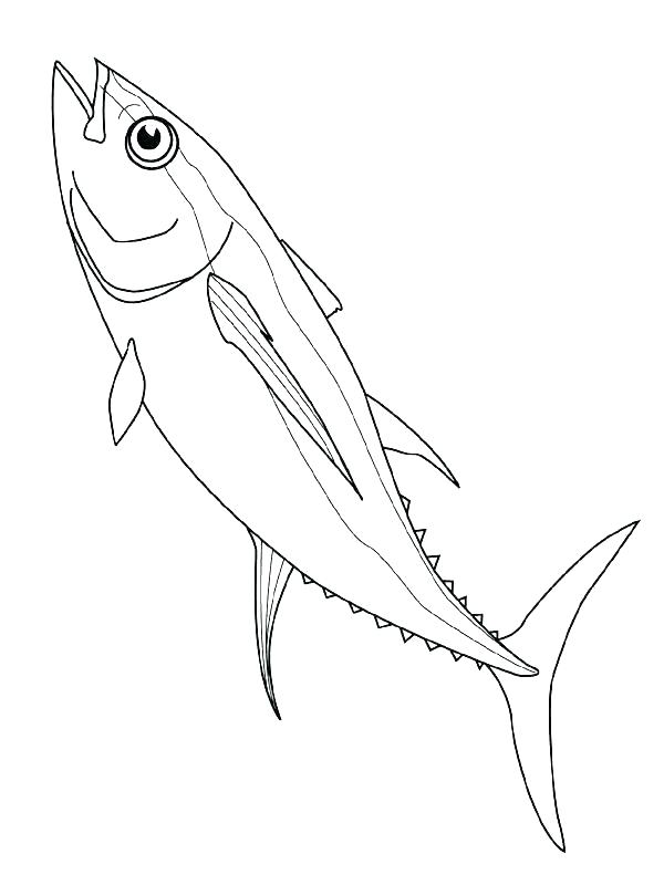 600x800 Tuna Fish Coloring Page Rainbow Fish Colouring Template Picture