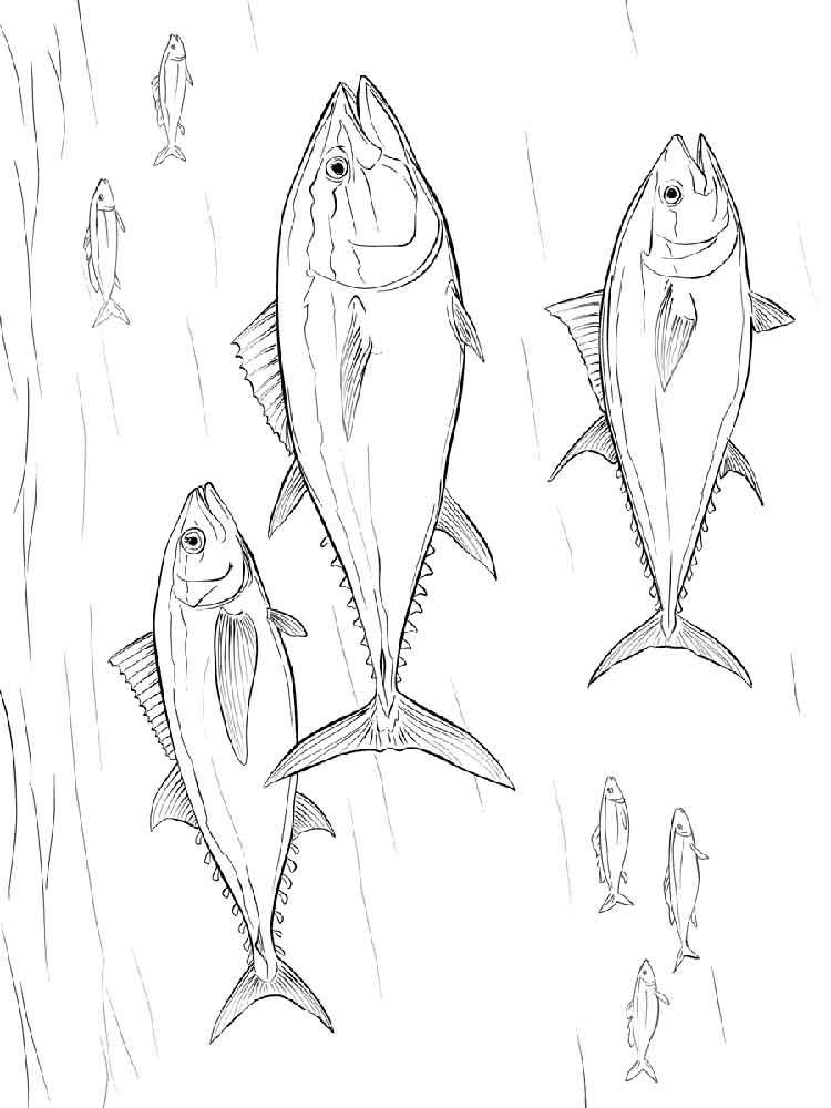 750x1000 Tuna Fish Coloring Pages. Download And Print Tuna Fish Coloring Pages.