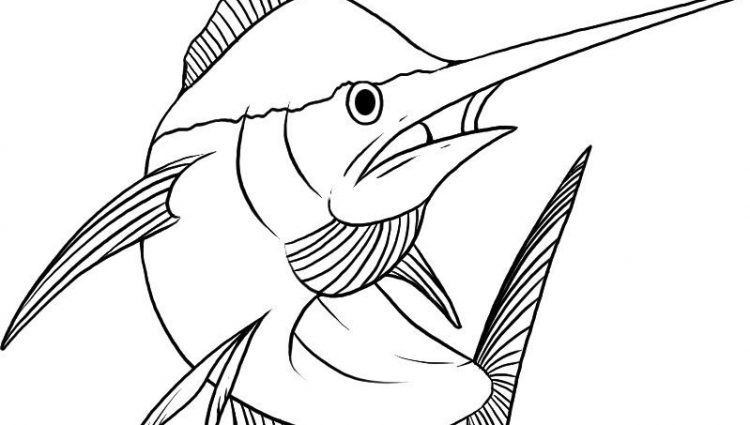 750x425 Tuna Fish Coloring Page Tuna Fish Drawing