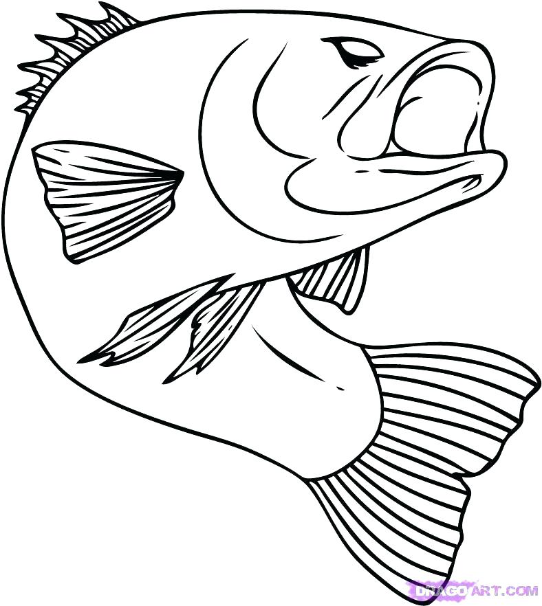 788x882 Cartoon Fish Coloring Pages Cartoon Fish Coloring Pages Free Fish