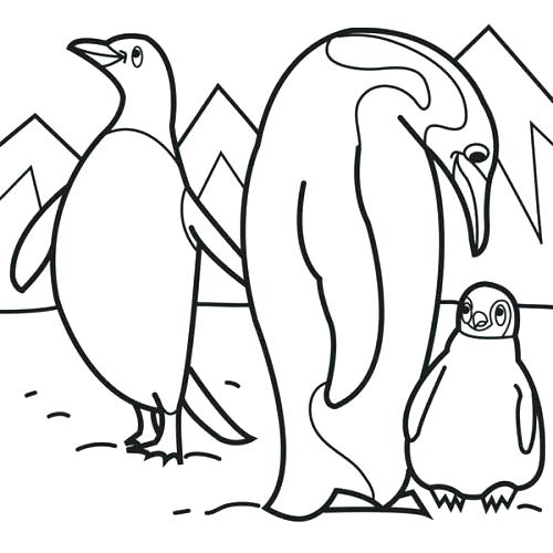 500x500 Arctic Coloring Pages Polar Arctic Animals Coloring Pages Arctic