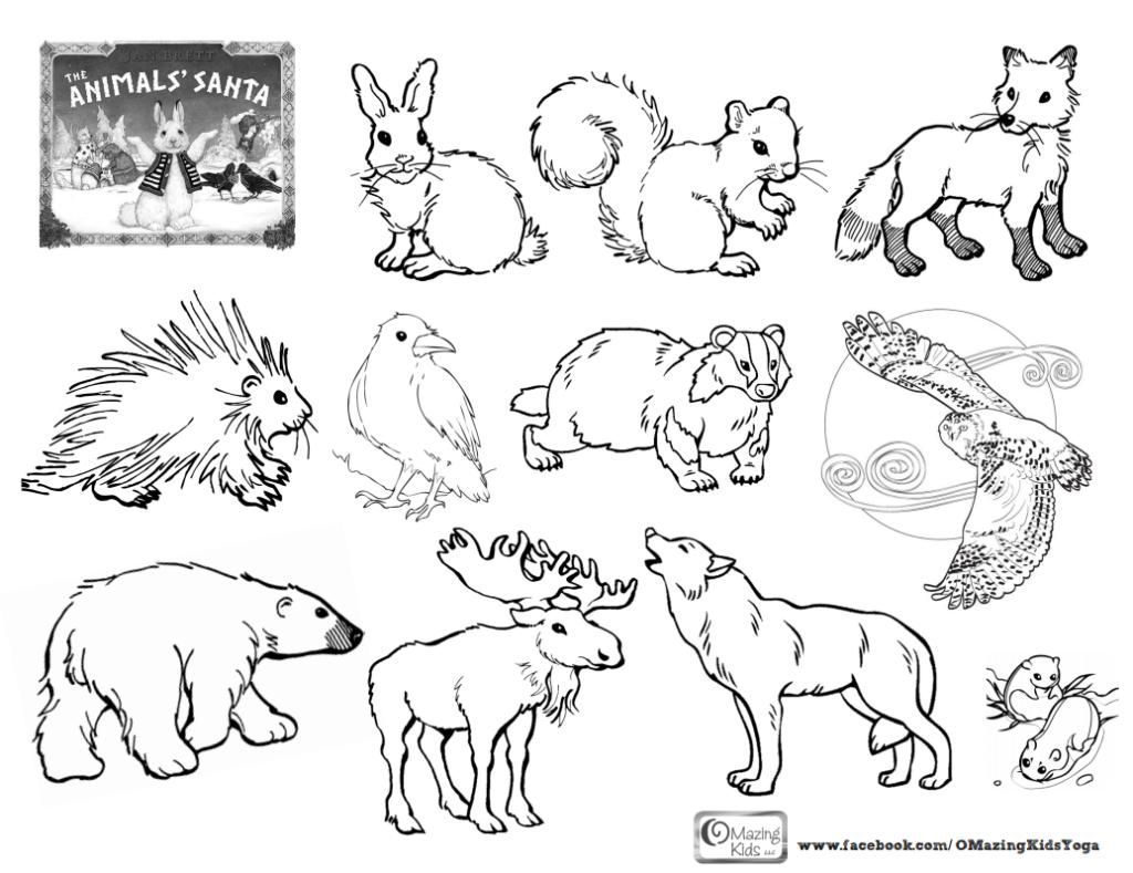 1024x789 Coloring Pages Arctic Animals Coloring Page Fun