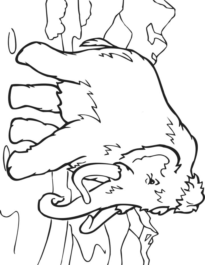 720x932 Coloring Pages For Kids, The Tundra And Coloring Pages