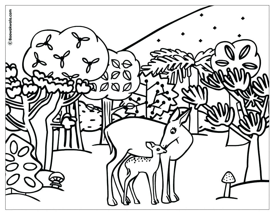 970x755 Coloring Sheets Winter Animals Cute Coloring Arctic Tundra Animals