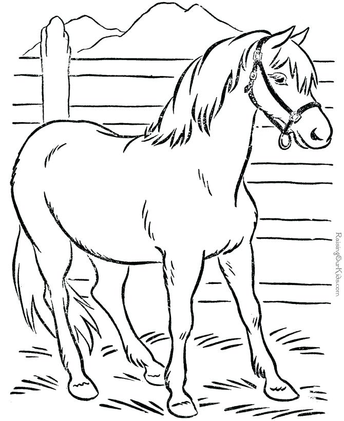 670x820 Forest Animals Coloring Pages Tundra Animals Coloring Pages