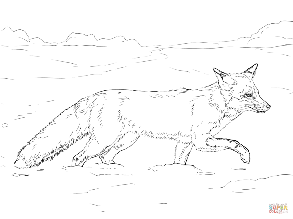 1024x768 Tundra Animals Coloring Pages Free Printable Pictures Coloring