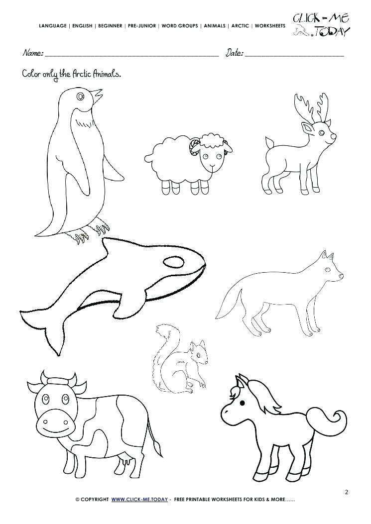745x1053 Arctic Animals Coloring Pages Polar Arctic Animals Coloring Pages