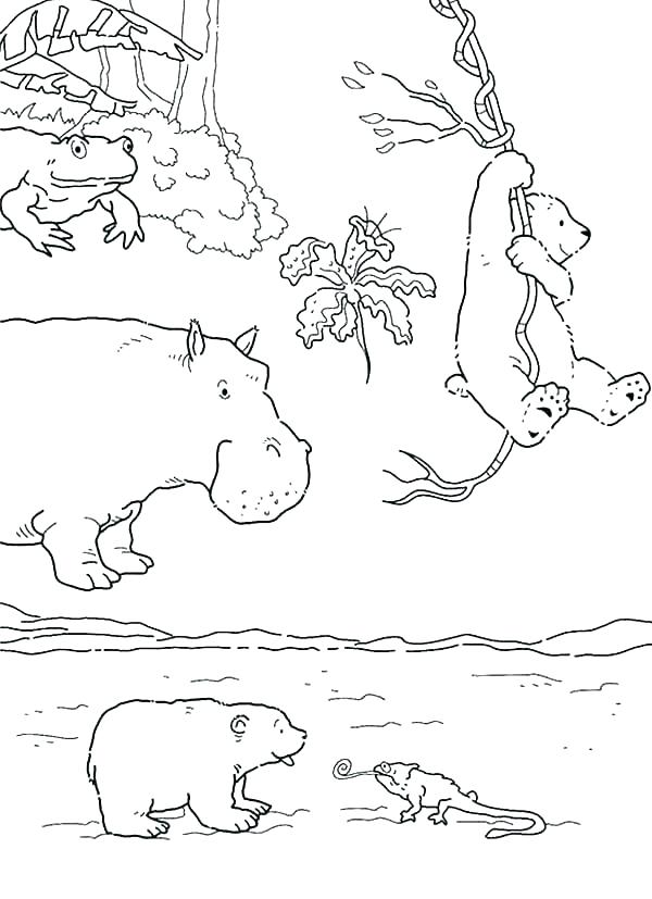 600x827 Arctic Animals Coloring Pages Seal Winter Animal Coloring Pages