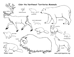255x197 Image Result For Alpine Tundra Coloring Page Biomes