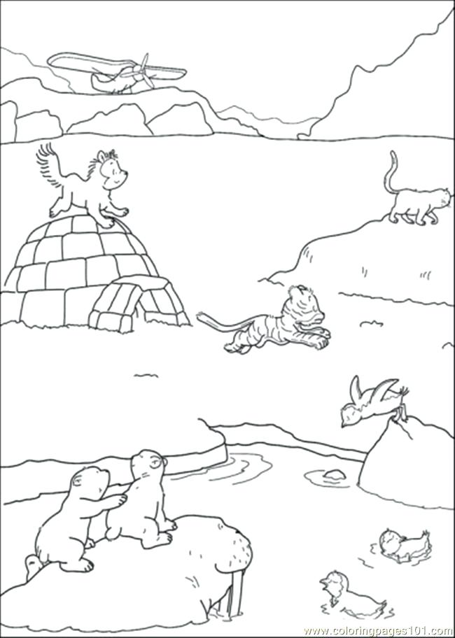 650x912 Polar Animals Coloring Pages Arctic Tundra Animals Coloring Pages