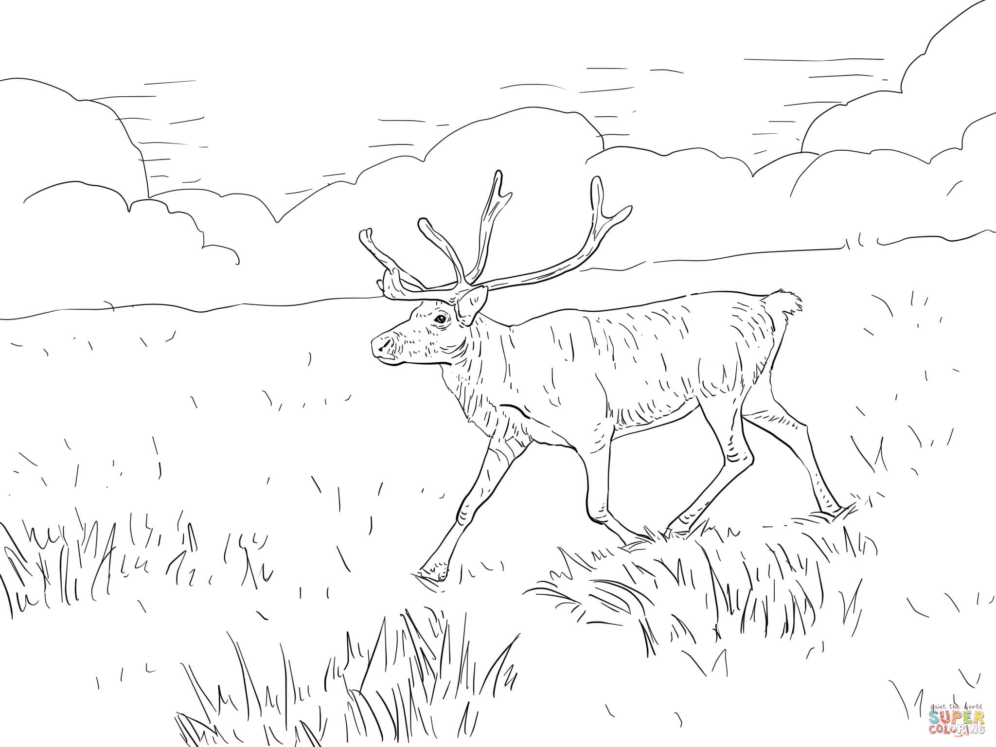 2048x1536 Reindeer Coloring Pages