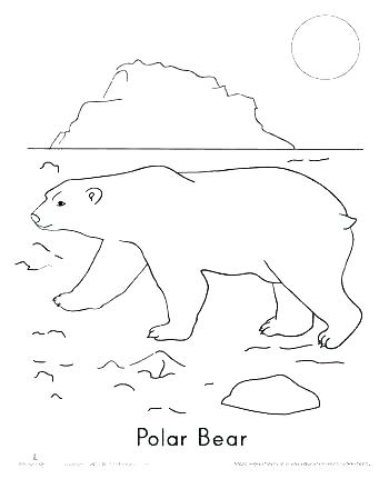 350x440 Tundra Animals Coloring Pages Arctic Coloring Pages Perfect