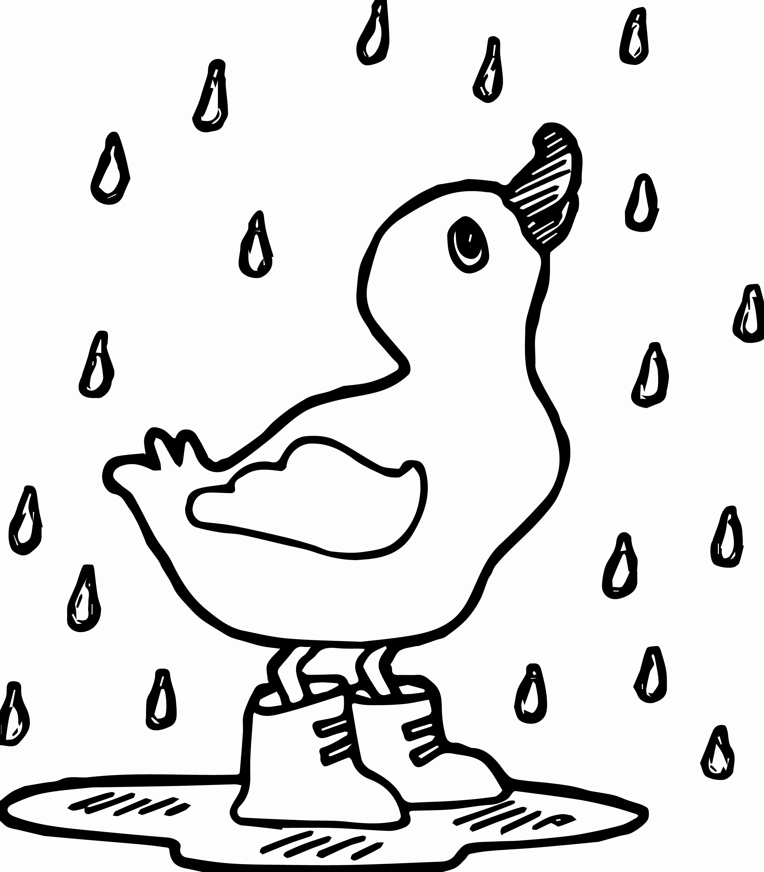 2506x2860 Drake Coloring Page Fiscalreform Beautiful