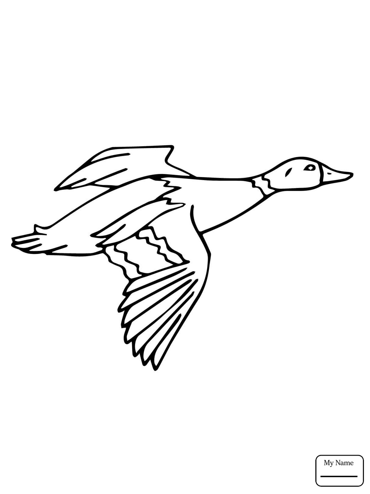 1224x1632 Drake Coloring Pages With Wallpaper Mobile On