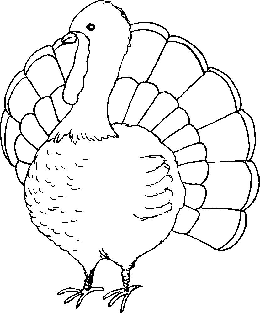 829x1024 Sizable Turkey Bird Coloring Pages Thanksgiving