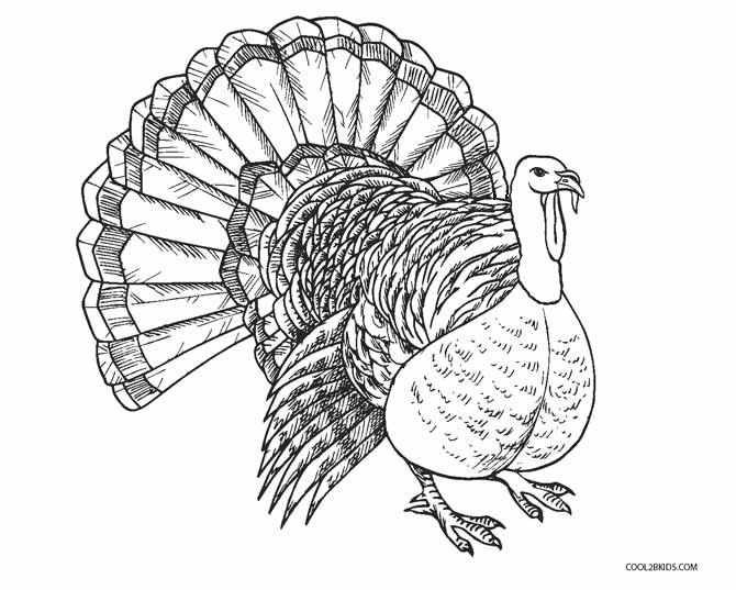 670x537 Free Printable Turkey Coloring Pages For Kids Cool2bkids