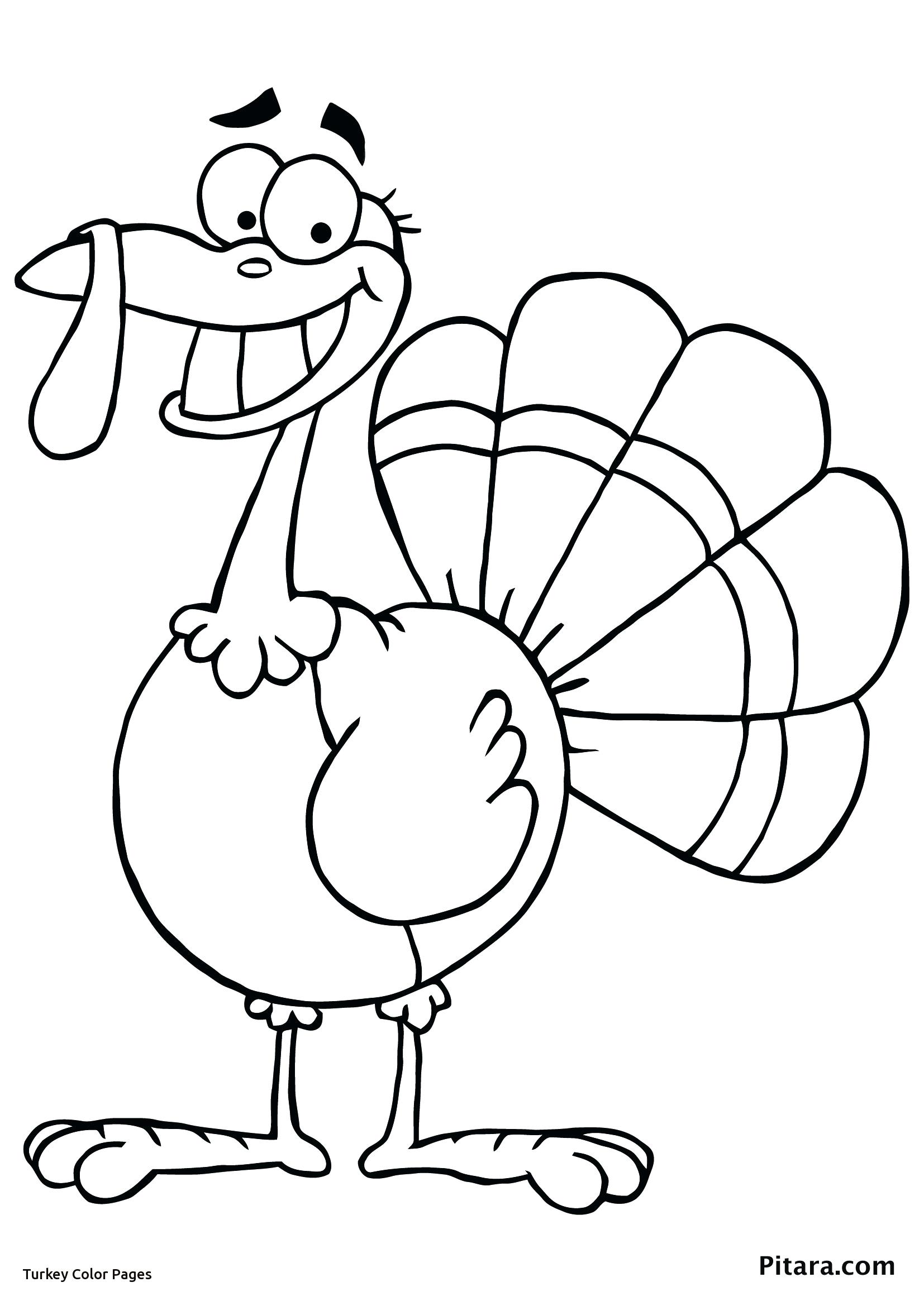1654x2339 Love Turkey Bird Coloring Pages Security Picture To Color For Kids