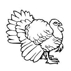 230x230 Top 25 Turkey Coloring Pages For Toddlers