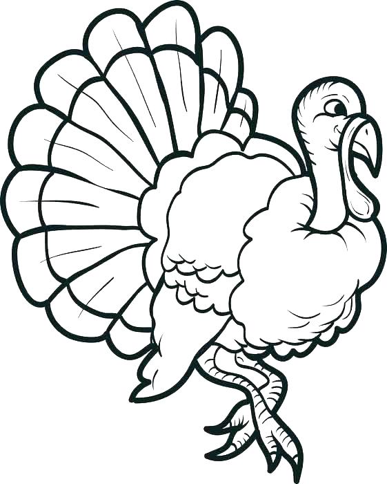 561x700 Turkey Coloring Pages For Preschoolers Preschool Turkey Coloring