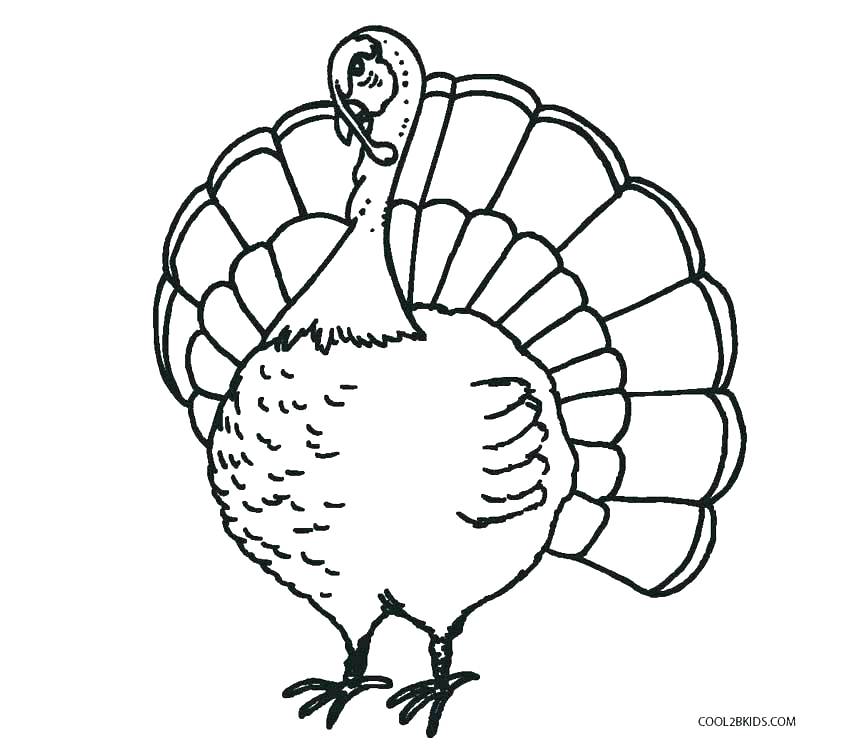 850x750 Free Printable Turkey Coloring Pages Ideas Turkey Coloring Pages