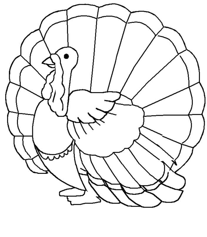 Turkey Coloring Pages Images
