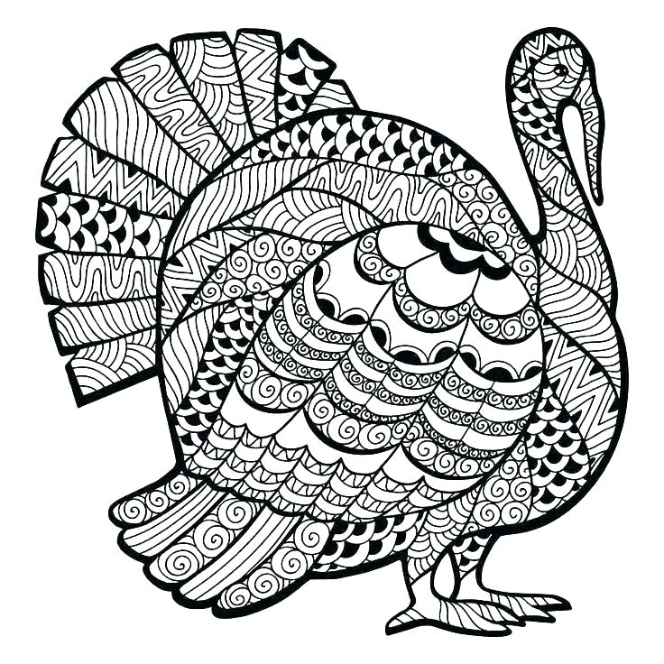 736x736 Turkey Coloring Sheets To Print Coloring Pages For Thanksgiving
