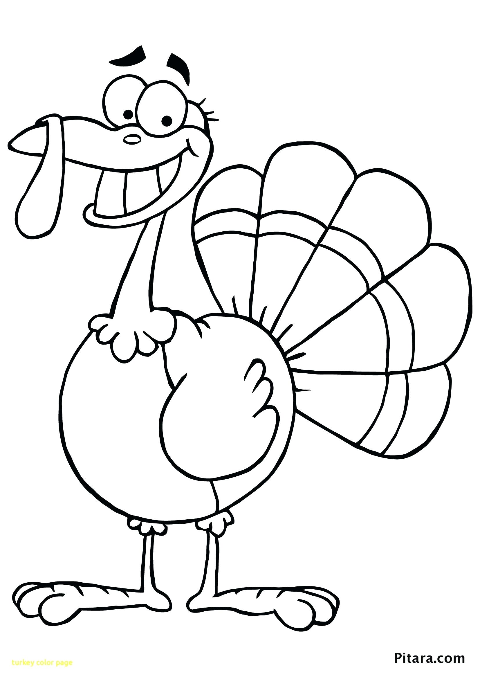1654x2339 Insider Picture Of A Turkey To Color Page With Thanksgiving Turkey