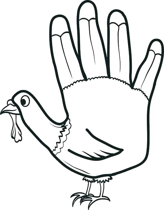 546x700 Free Turkey Coloring Page Coloring Page Turkey Turkey Feather