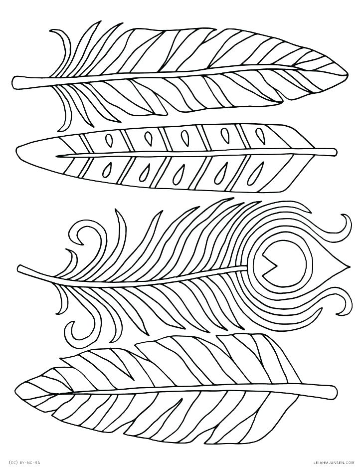 728x942 Printable Feather Coloring Page Feather Coloring Pages Peacock