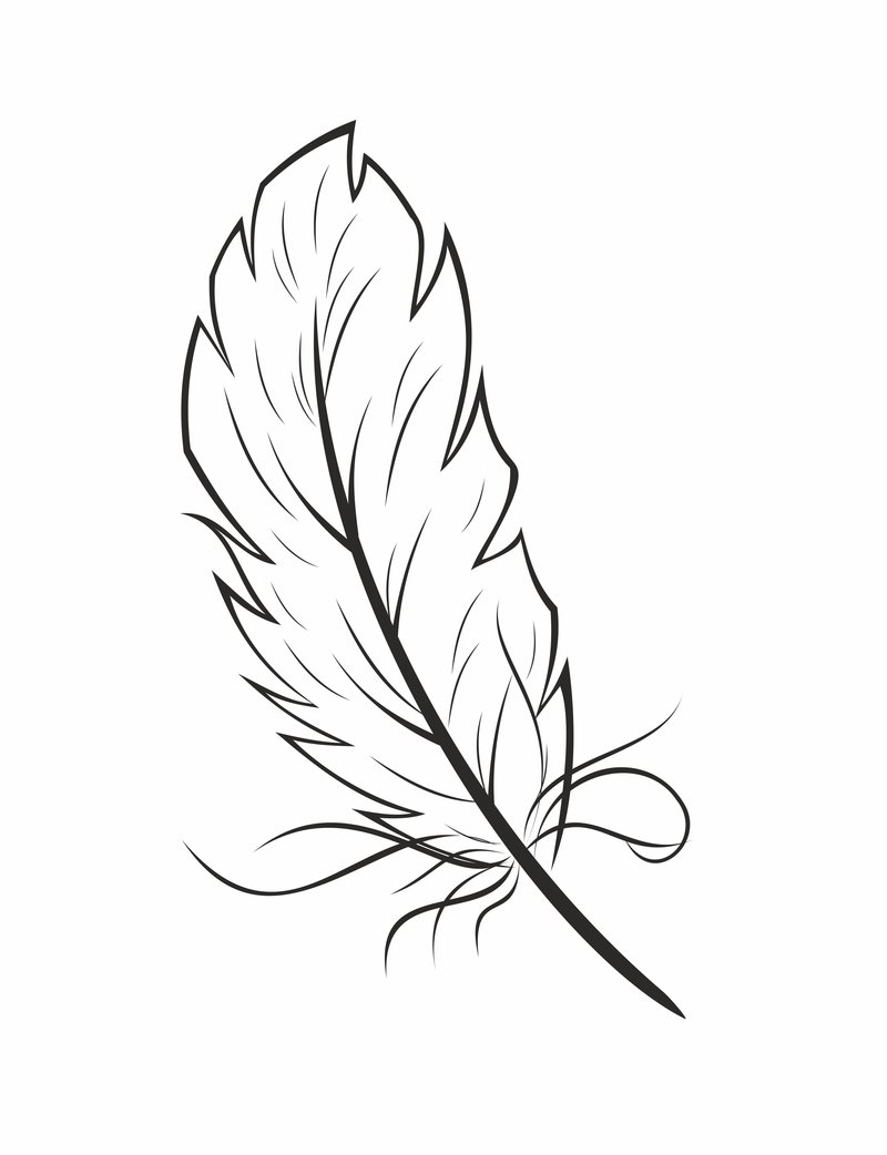 800x1042 20 Feather Coloring Pages, Adult Coloring Page Three Feathers By