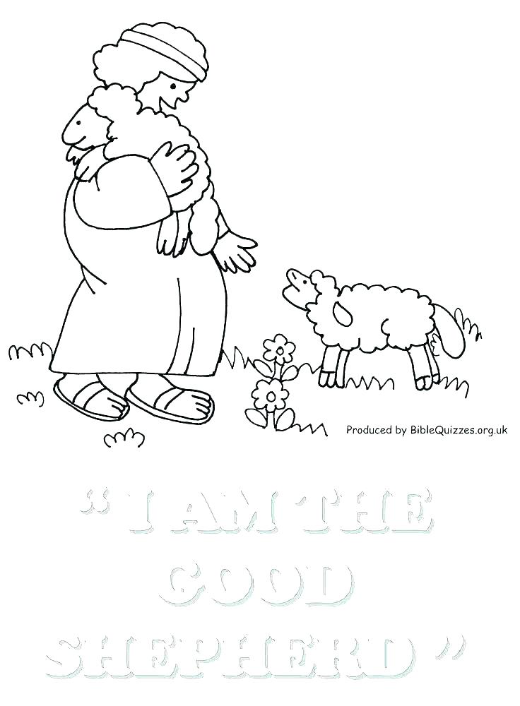 736x1000 Feather Coloring Page